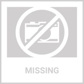 Dog Flea And Tick Treatment Chews FleaTick Prevention For Dogs Chewables Natural Dog Flea & Tick Control Soft Treats Immune Support Supplement (Option: 1pcs)